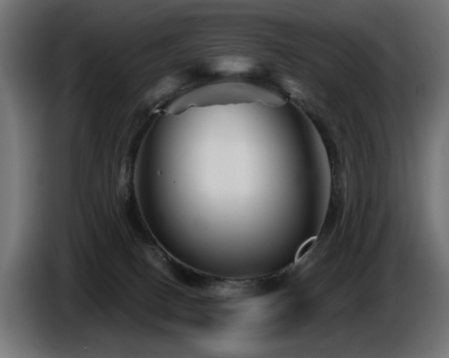 X0000087680082200705041036