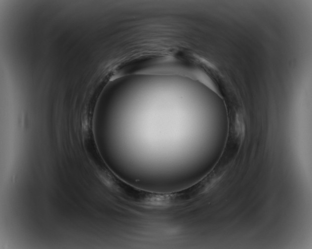 X0000087680084200705041036