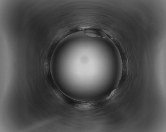 X0000087680086200705041036