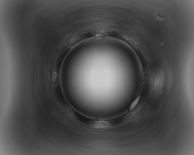 X0000087680087200705041036