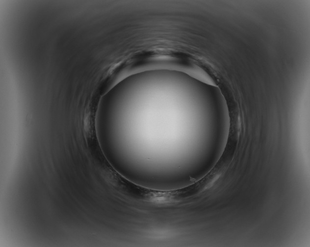 X0000087680088200705041036