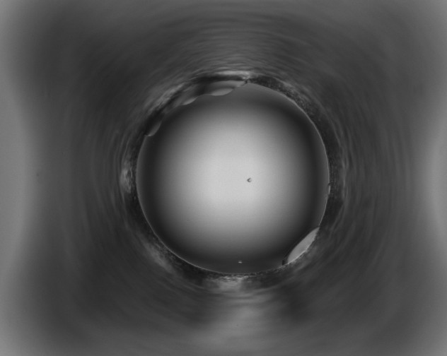 X0000087680090200705041036