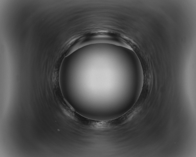 X0000087680092200705041036