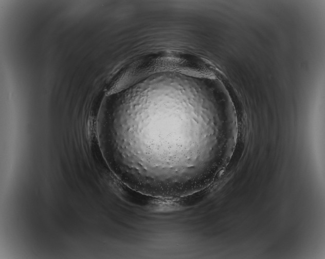 X0000087680093200705041036