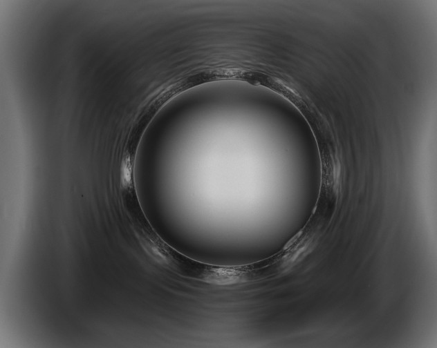 X0000087680095200705041037