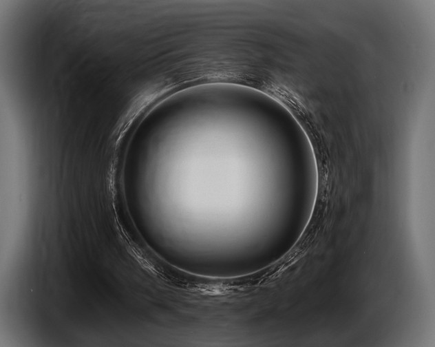X0000087680098200705041036