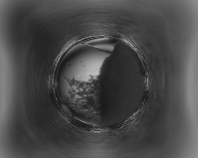 X0000087680099200705041036