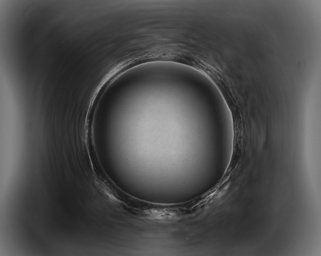 X0000087680100200705041036