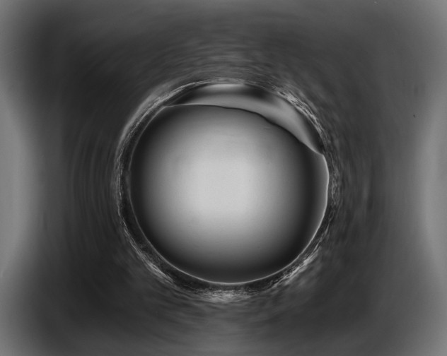 X0000087680101200705041036