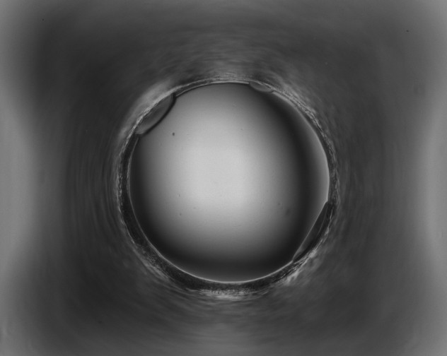 X0000087680103200705041036