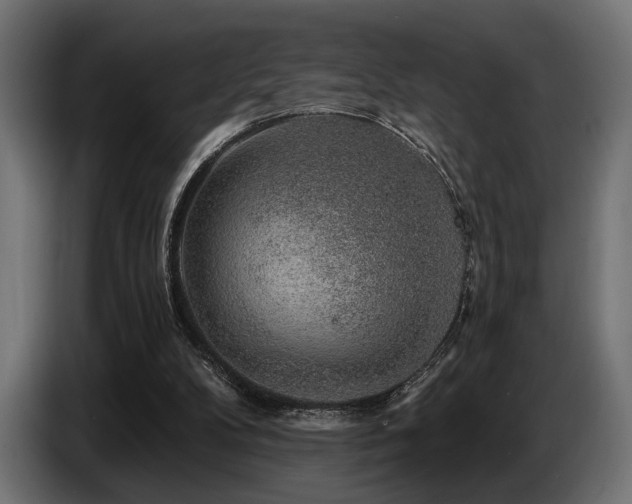 X0000087680104200705041036