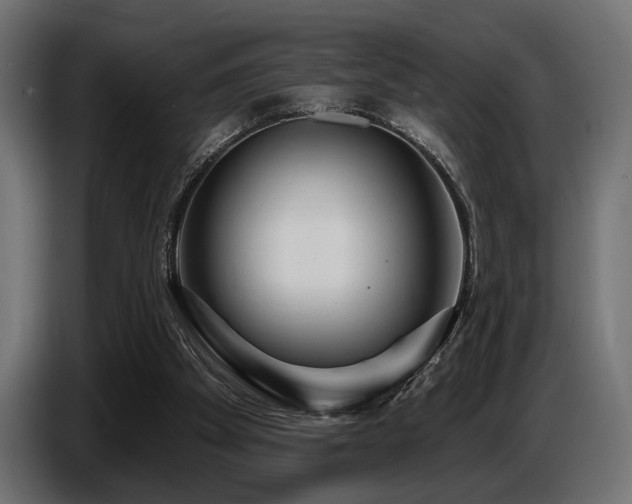 X0000087680105200705041036