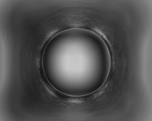 X0000087680106200705041036