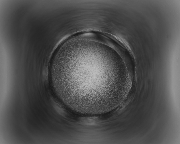 X0000087680108200705041036