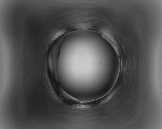 X0000087680109200705041036