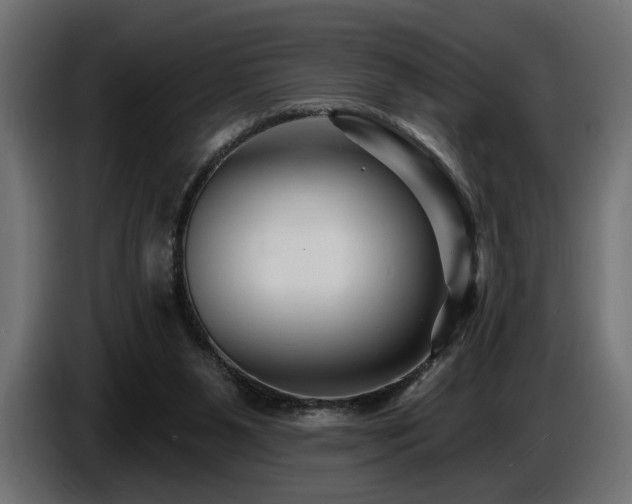 X0000087680111200705041036