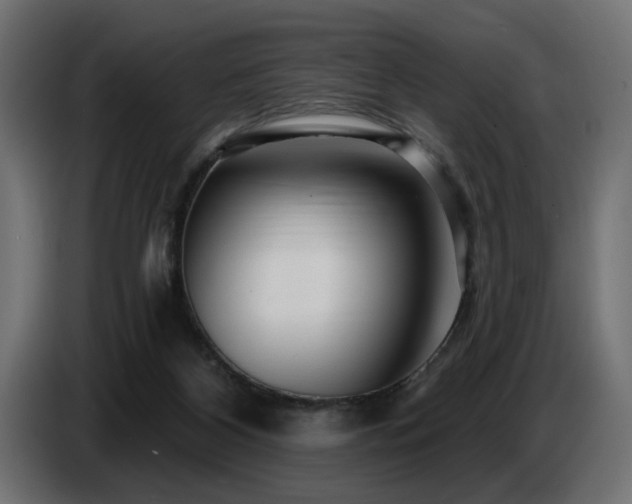 X0000087680116200705041036