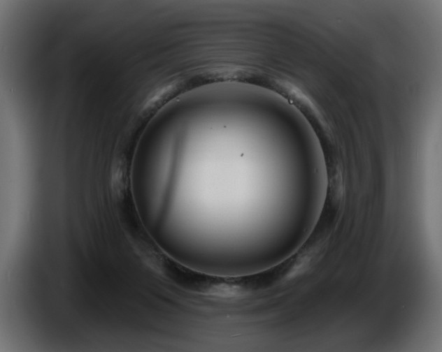 X0000087680119200705041036