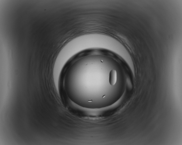X0000087680121200705041036