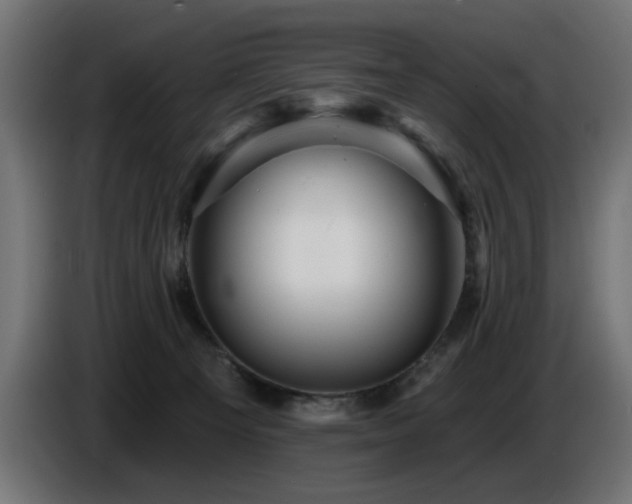X0000087680129200705041036