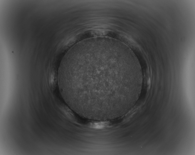 X0000087680134200705041036