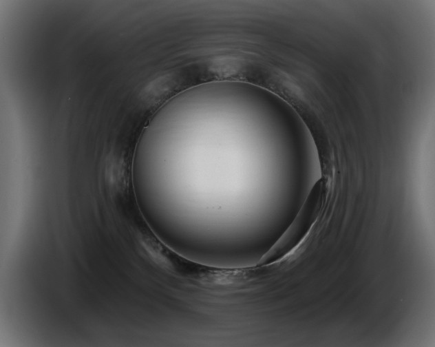X0000087680136200705041036