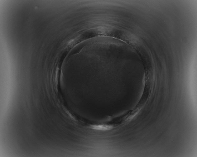X0000087680137200705041035