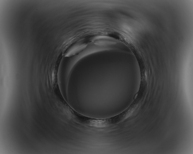 X0000087680139200705041035
