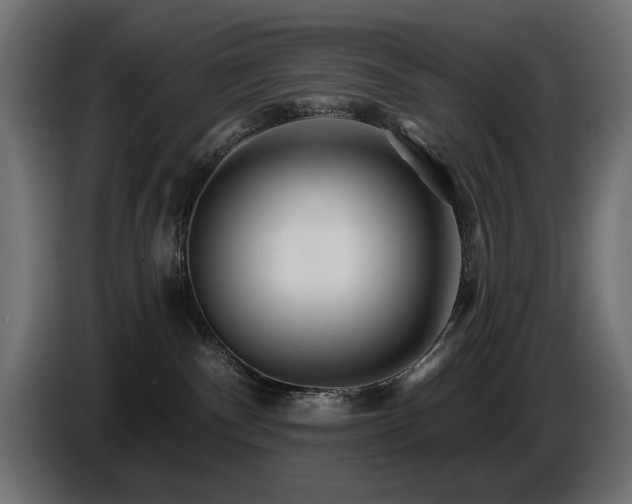 X0000087680140200705041035