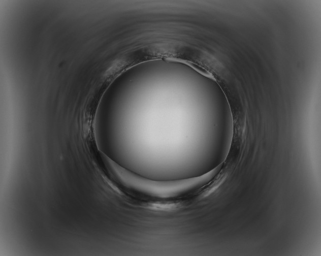 X0000087680141200705041035