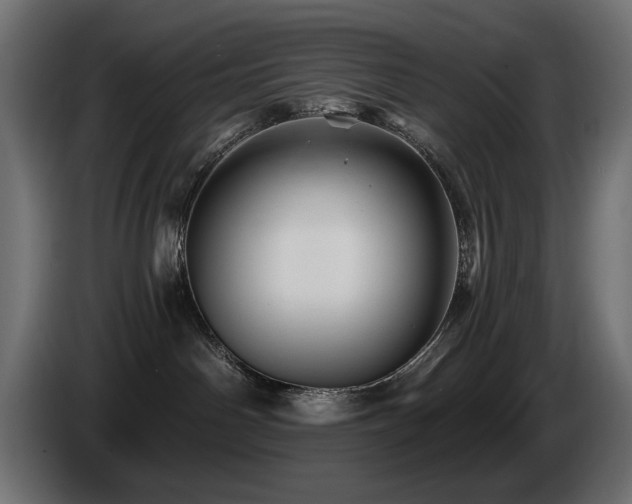 X0000087680142200705041035