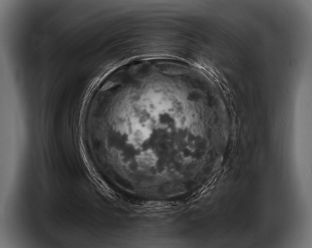 X0000087680145200705041035