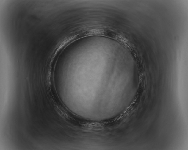 X0000087680146200705041035