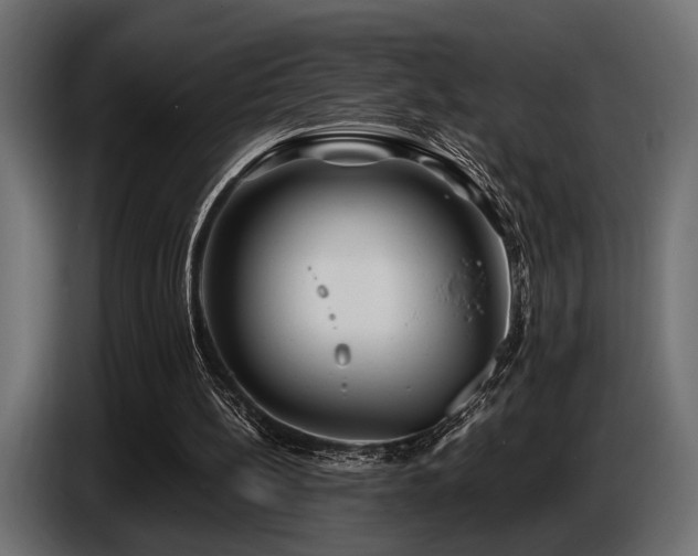 X0000087680148200705041035