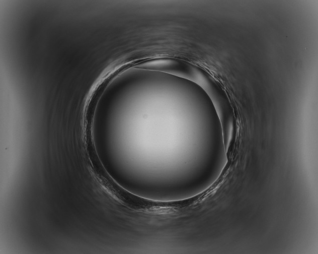 X0000087680150200705041035