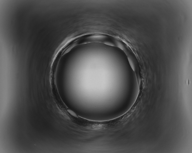 X0000087680152200705041035