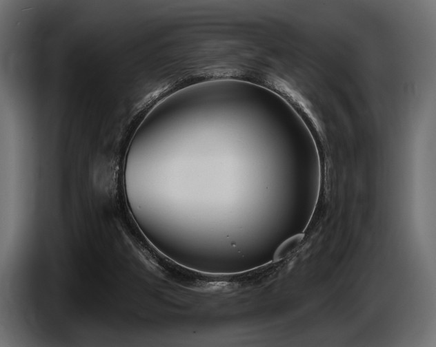 X0000087680153200705041035