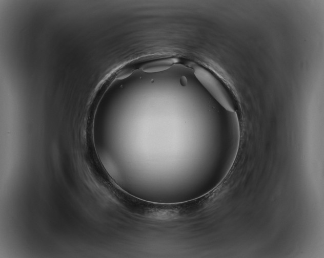 X0000087680155200705041035