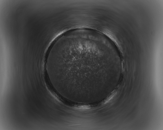 X0000087680156200705041035