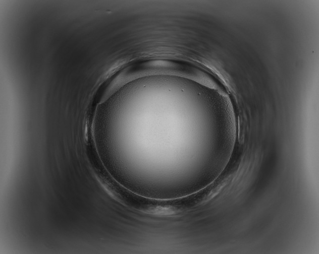 X0000087680157200705041035