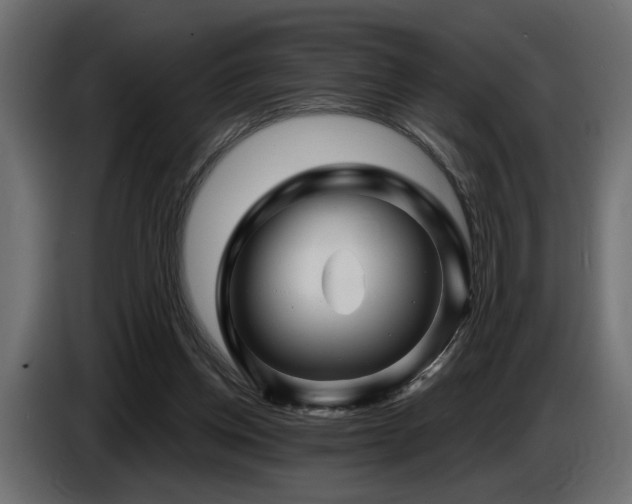 X0000087680158200705041035