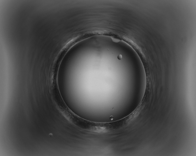 X0000087680159200705041035
