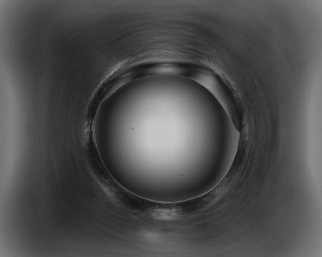 X0000087680160200705041035