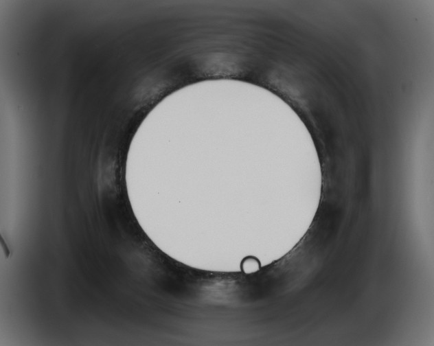 X0000087680162200705041035