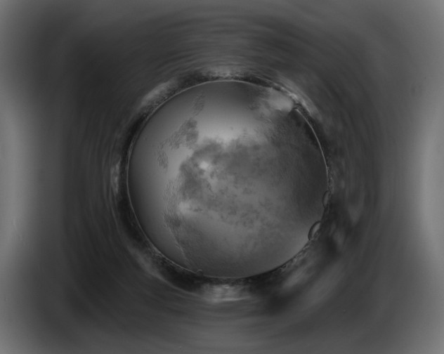 X0000087680163200705041035