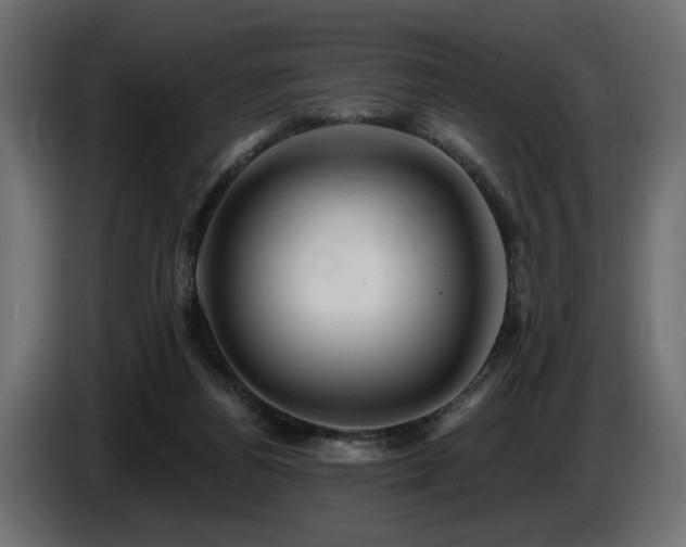 X0000087680164200705041035