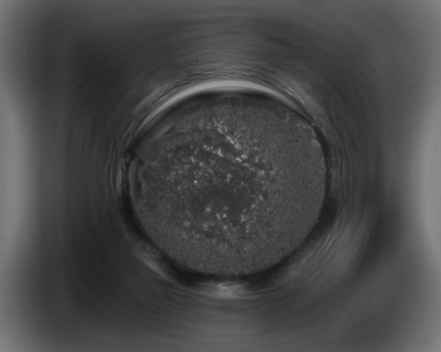 X0000087680165200705041035
