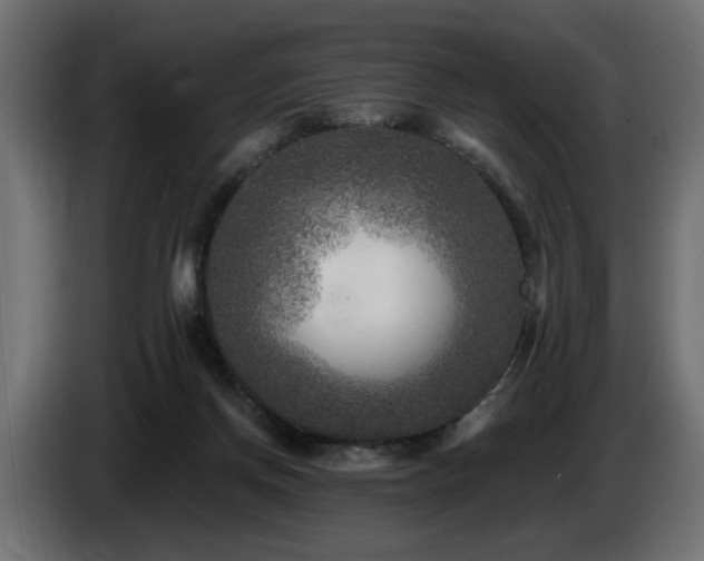 X0000087680166200705041035