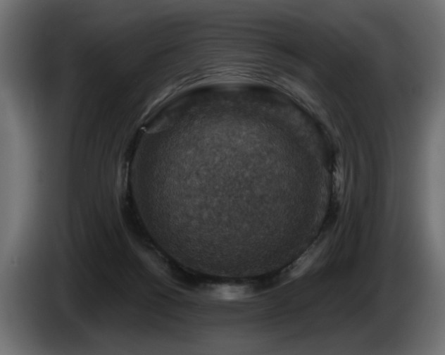 X0000087680168200705041035
