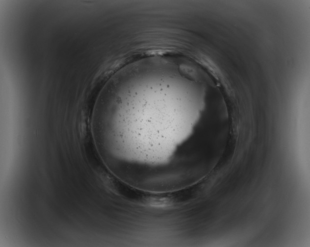 X0000087680169200705041035